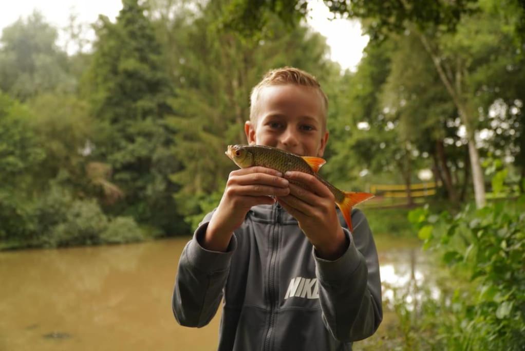 Saevis Tranquillus In Undis In De Ijsvogel Villa Diffelen Bagian luar foto