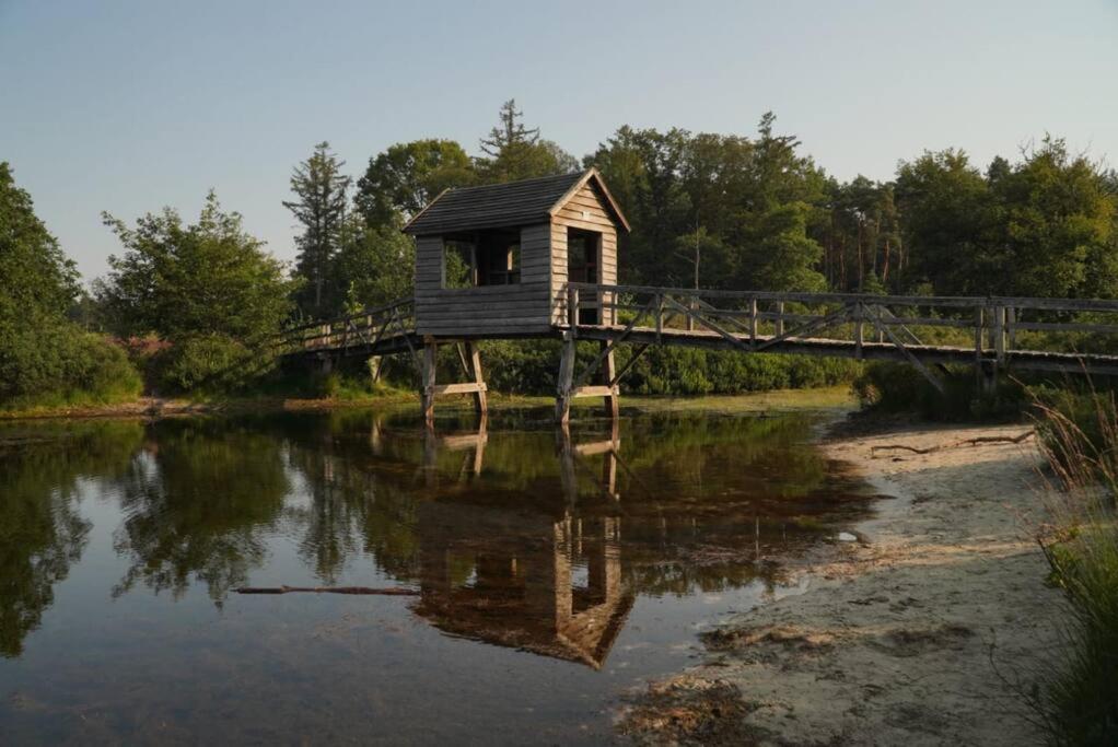 Saevis Tranquillus In Undis In De Ijsvogel Villa Diffelen Bagian luar foto