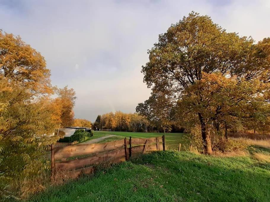 Saevis Tranquillus In Undis In De Ijsvogel Villa Diffelen Bagian luar foto