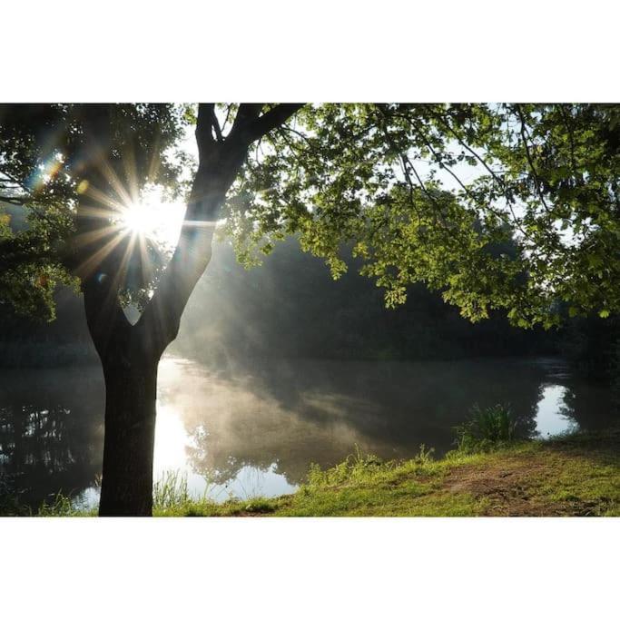 Saevis Tranquillus In Undis In De Ijsvogel Villa Diffelen Bagian luar foto